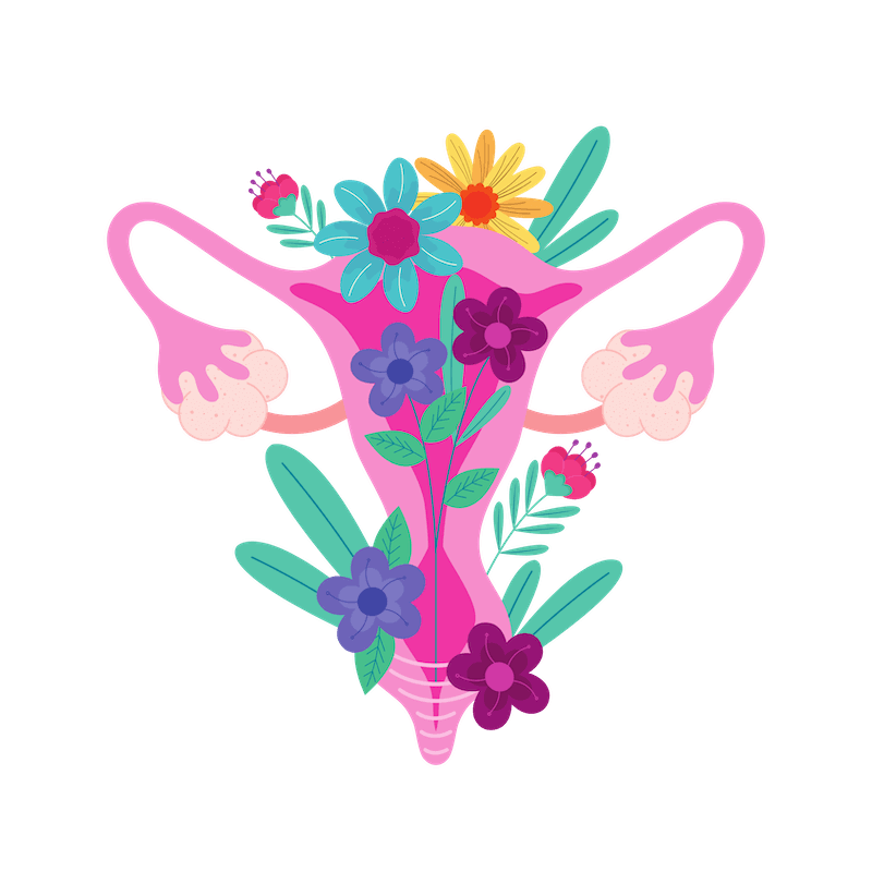 A pink uterus adorned with flowers- PCOS Sisters